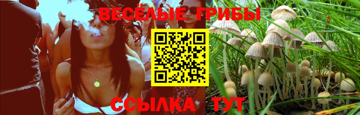 Псилоцибиновые грибы MAGIC MUSHROOMS Всеволожск