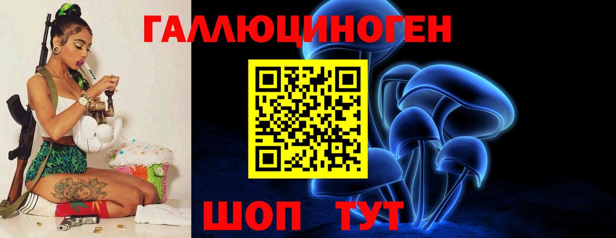 Всеволожск  Псилоцибиновые грибы Psilocybe  Вход с VPN  Галлюциногенные грибы MAGIC MUSHROOMS 